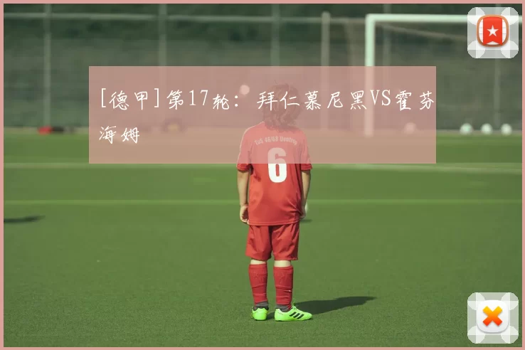 [德甲]第17轮：拜仁慕尼黑VS霍芬海姆