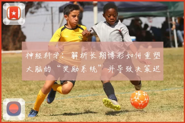 神经科学：解析长期博彩如何重塑大脑的“奖励系统”并导致决策迟钝。（神经科学揭示：长期赌博如何重塑大脑奖励回路并使决策迟缓）