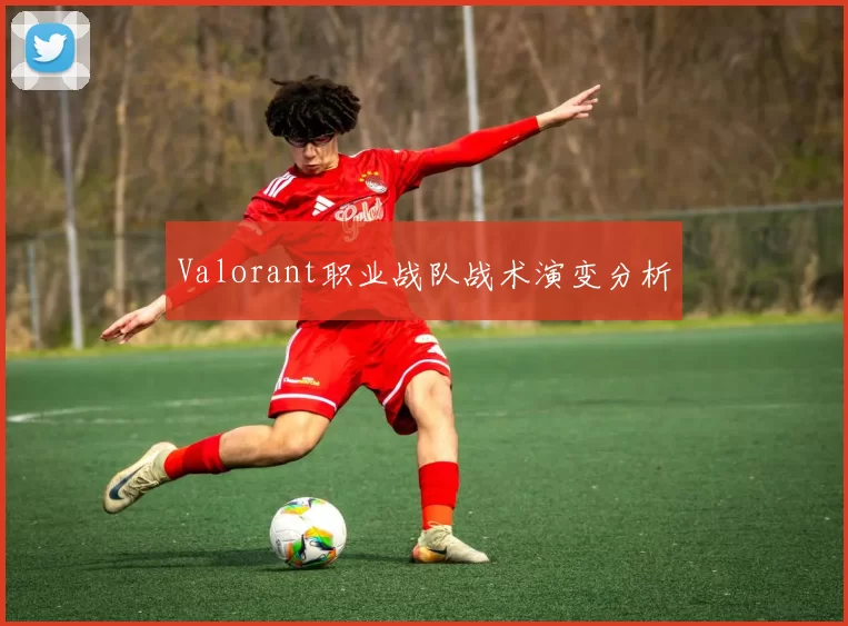 Valorant职业战队战术演变分析
