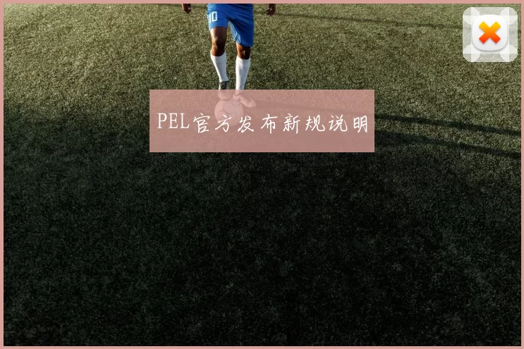 PEL官方发布新规说明