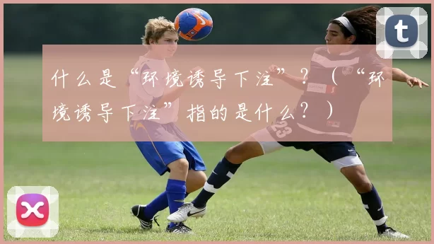 什么是“环境诱导下注”？（“环境诱导下注”指的是什么？）