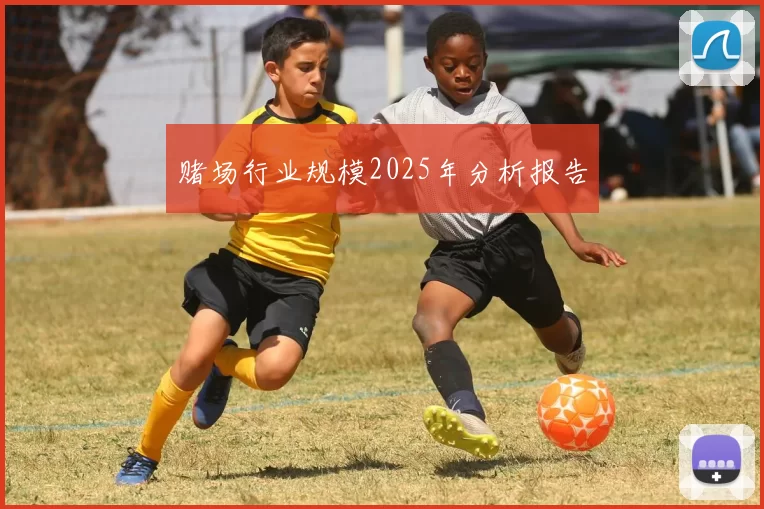 赌场行业规模2025年分析报告